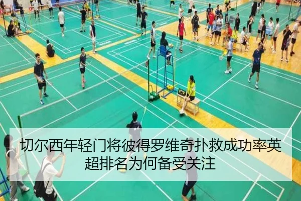 切尔西年轻门将彼得罗维奇扑救成功率英超排名为何备受关注