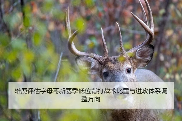 雄鹿评估字母哥新赛季低位背打战术比重与进攻体系调整方向
