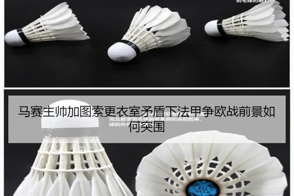 马赛主帅加图索更衣室矛盾下法甲争欧战前景如何突围