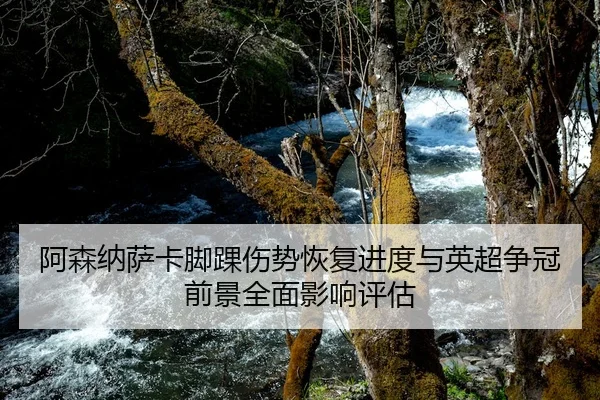 阿森纳萨卡脚踝伤势恢复进度与英超争冠前景全面影响评估