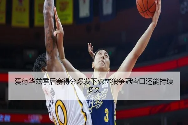 爱德华兹季后赛得分爆发下森林狼争冠窗口还能持续多久