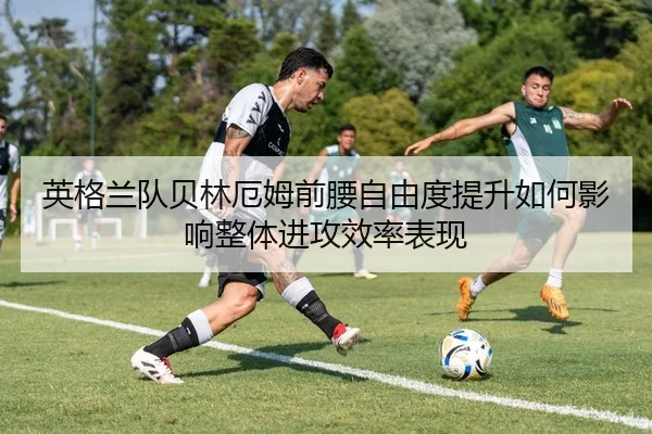img_1780761943788_174_1_558.jpg